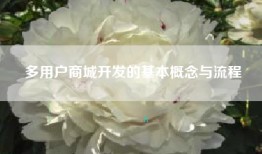 多用户商城开发的基本概念与流程