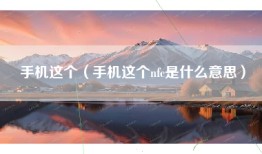 手机这个（手机这个nfc是什么意思）