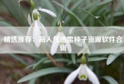 精选推荐：高人气迅雷种子资源软件合辑