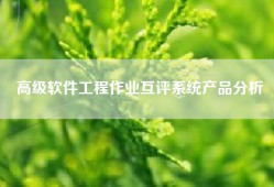 高级软件工程作业互评系统产品分析