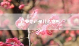 产业地产是什么意思