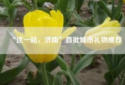 “这一站，济南”首批城市礼物推荐