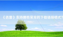 《迅雷》支持哪些常见的下载链接格式？