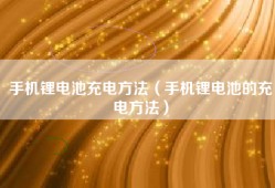 手机锂电池充电方法（手机锂电池的充电方法）