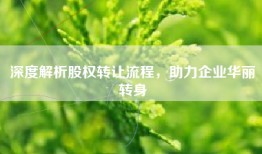深度解析股权转让流程，助力企业华丽转身