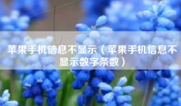 苹果手机信息不显示（苹果手机信息不显示数字条数）
