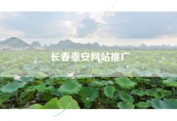 长春泰安网站推广