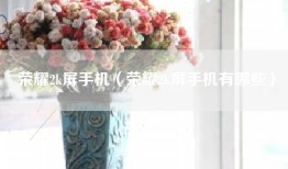 荣耀2k屏手机（荣耀2k屏手机有哪些）