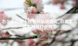怎么在百度上搜索网站链接呢_百度怎么搜索网址打开网页