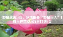 野猪致害26省，多地招募“野猪猎人”！有人称花费20万只打到5头