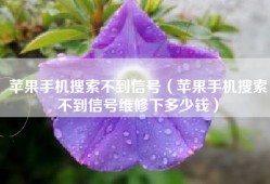 苹果手机搜索不到信号（苹果手机搜索不到信号维修下多少钱）