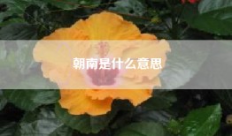 朝南是什么意思