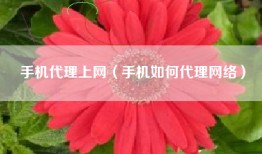 手机代理上网（手机如何代理网络）