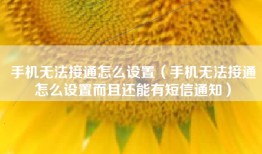 手机无法接通怎么设置（手机无法接通怎么设置而且还能有短信通知）