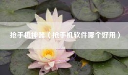 抢手机神器（抢手机软件哪个好用）