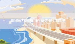 IDM磁力解析 IDM磁力使用教程
