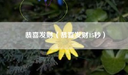 恭喜发财（恭喜发财15秒）