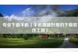 专业下载手机（手机端最好用的下载软件工具）