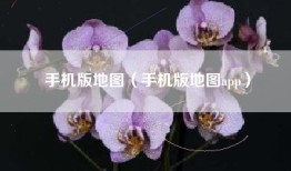 手机版地图（手机版地图app）