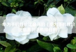 华为手机性价比最高的（华为手机性价比最高的手机排行榜）
