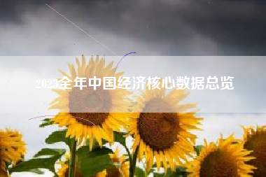 2023全年中国经济核心数据总览