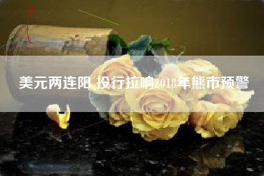 美元两连阳 投行拉响2018年熊市预警