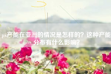 px产能在亚洲的情况是怎样的？这种产能分布有什么影响？