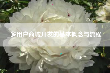 多用户商城开发的基本概念与流程