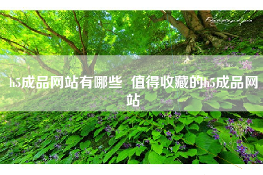 h5成品网站有哪些  值得收藏的h5成品网站