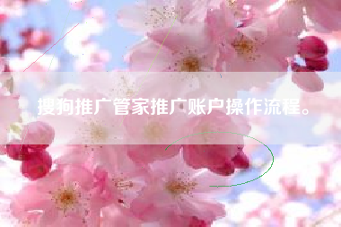 搜狗推广管家推广账户操作流程。