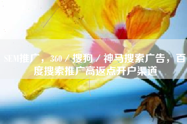 SEM推广，360／搜狗／神马搜索广告，百度搜索推广高返点开户渠道