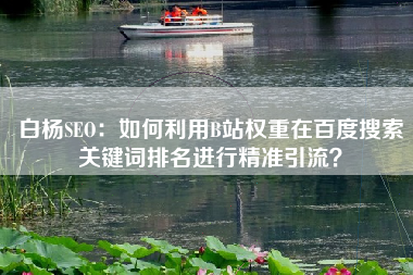 白杨SEO：如何利用B站权重在百度搜索关键词排名进行精准引流？