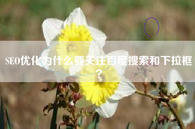SEO优化为什么要关注百度搜索和下拉框？