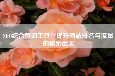 SEO综合查询工具：提升网站排名与流量的秘密武器