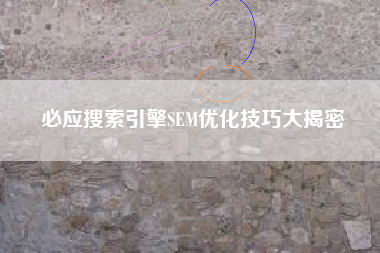 必应搜索引擎SEM优化技巧大揭密 必应搜索引擎SEM优化技巧大揭密
