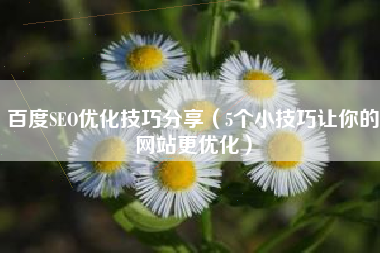 百度SEO优化技巧分享（5个小技巧让你的网站更优化）
