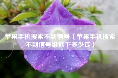 苹果手机搜索不到信号（苹果手机搜索不到信号维修下多少钱）