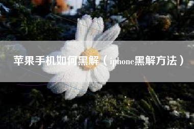 苹果手机如何黑解（iphone黑解方法）