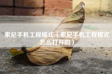 索尼手机工程模式（索尼手机工程模式怎么打开的）