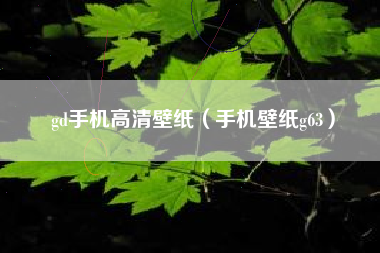 gd手机高清壁纸（手机壁纸g63）