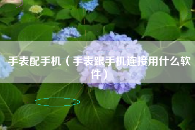 手表配手机（手表跟手机连接用什么软件）