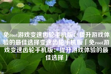 免root游戏变速齿轮手机版：提升游戏体验的最佳选择变速齿轮手机版「免root游戏变速齿轮手机版：提升游戏体验的最佳选择」