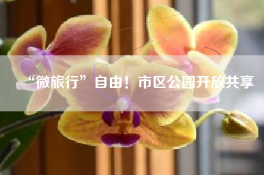 “微旅行”自由！市区公园开放共享